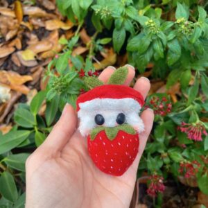 PRE ORDERS: Tiny Tiny baby Fresi