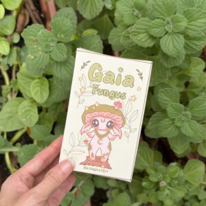 PRE-ORDER: Nature Box 2nd part