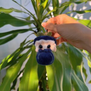 Blueberry Tiny baby (Pre order)
