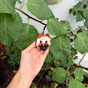 PRE-ORDER: Pumpkin Baby Fresia